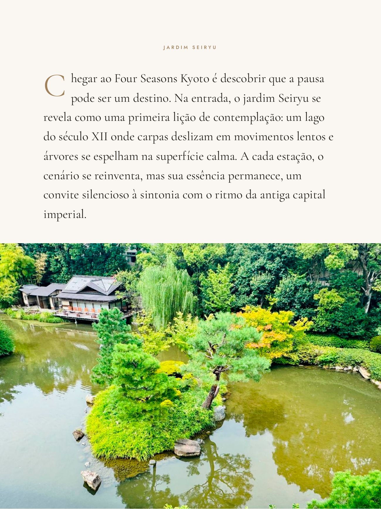 Página 19